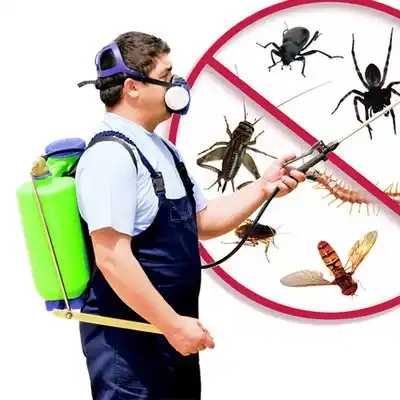 pest control Barton